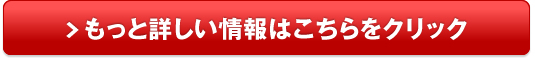 ミニセグウェイ kintone販売サイトへ